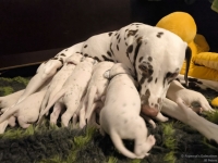 IMG_20250115_085425_web