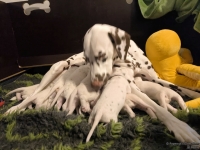 IMG_20250115_085429_web