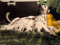 IMG_20250115_085431_web