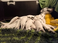 IMG_20250115_085433_web