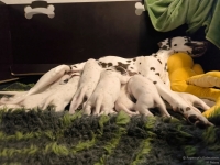 IMG_20250115_085435_web