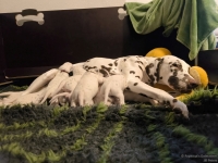 IMG_20250115_085443_web