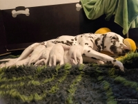 IMG_20250115_085445_web