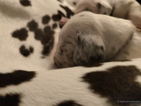 IMG_20250115_085451_web