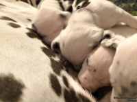 IMG_20250115_085453_web