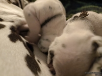 IMG_20250115_085459_web