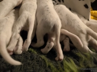 IMG_20250115_085617_web