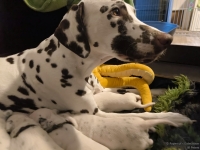 IMG_20250115_085624_web