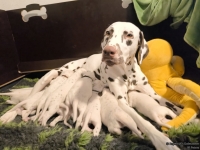 IMG_20250115_085629_web