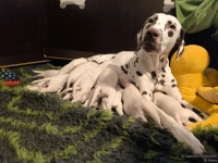 IMG_20250115_085634_web