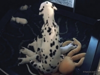 IMG_20250116_084547_web