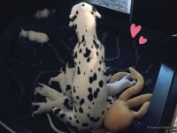 IMG_20250116_085432_web