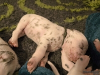 IMG_20250116_095026_web