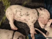 IMG_20250116_095032_web