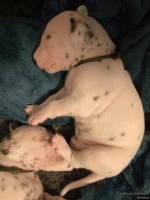 IMG_20250116_095038_web