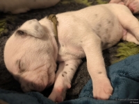 IMG_20250116_095058_web