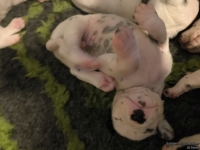 IMG_20250116_095105_web