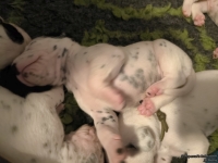 IMG_20250116_095115_web