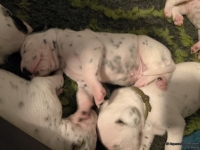 IMG_20250116_095118_web