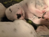 IMG_20250116_095121_web