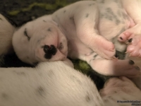 IMG_20250116_095123_web