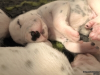 IMG_20250116_095125_web