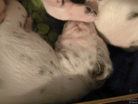 IMG_20250116_095130_web