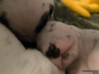 IMG_20250116_095138_web