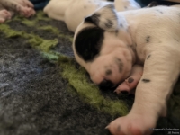 IMG_20250116_095152_web