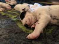 IMG_20250116_095156_web