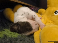 IMG_20250116_095159_web