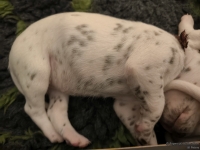 IMG_20250116_095204_web