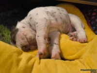 IMG_20250116_095211_web