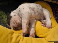 IMG_20250116_095216_web