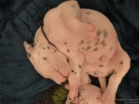 IMG_20250116_095238_web