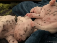 IMG_20250116_095242_web