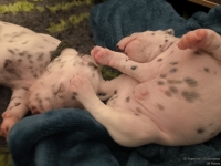 IMG_20250116_095245_web