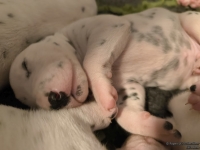 IMG_20250116_095304_web