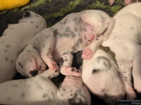 IMG_20250116_095313_web