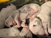 IMG_20250116_095314_web