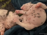 IMG_20250116_095318_web