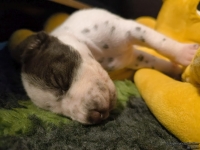 IMG_20250116_095330_web