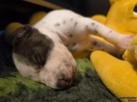 IMG_20250116_095331_web