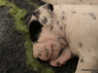 IMG_20250116_095338_web