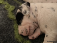 IMG_20250116_095341_web