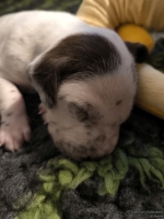 IMG_20250116_095357_web