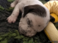 IMG_20250116_095401_web