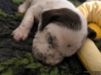 IMG_20250116_095403_web