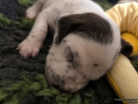 IMG_20250116_095404_web