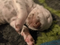 IMG_20250116_101621_web